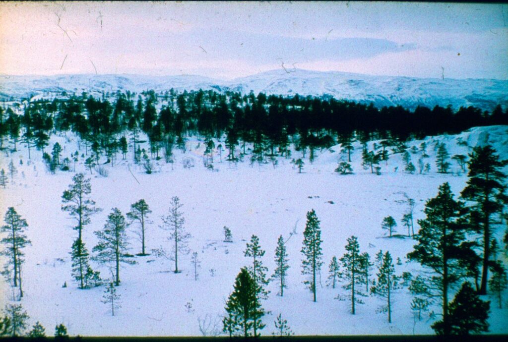 Aufnahme 111 von 215 aus dem Album „Skandinavien Winter 1977"