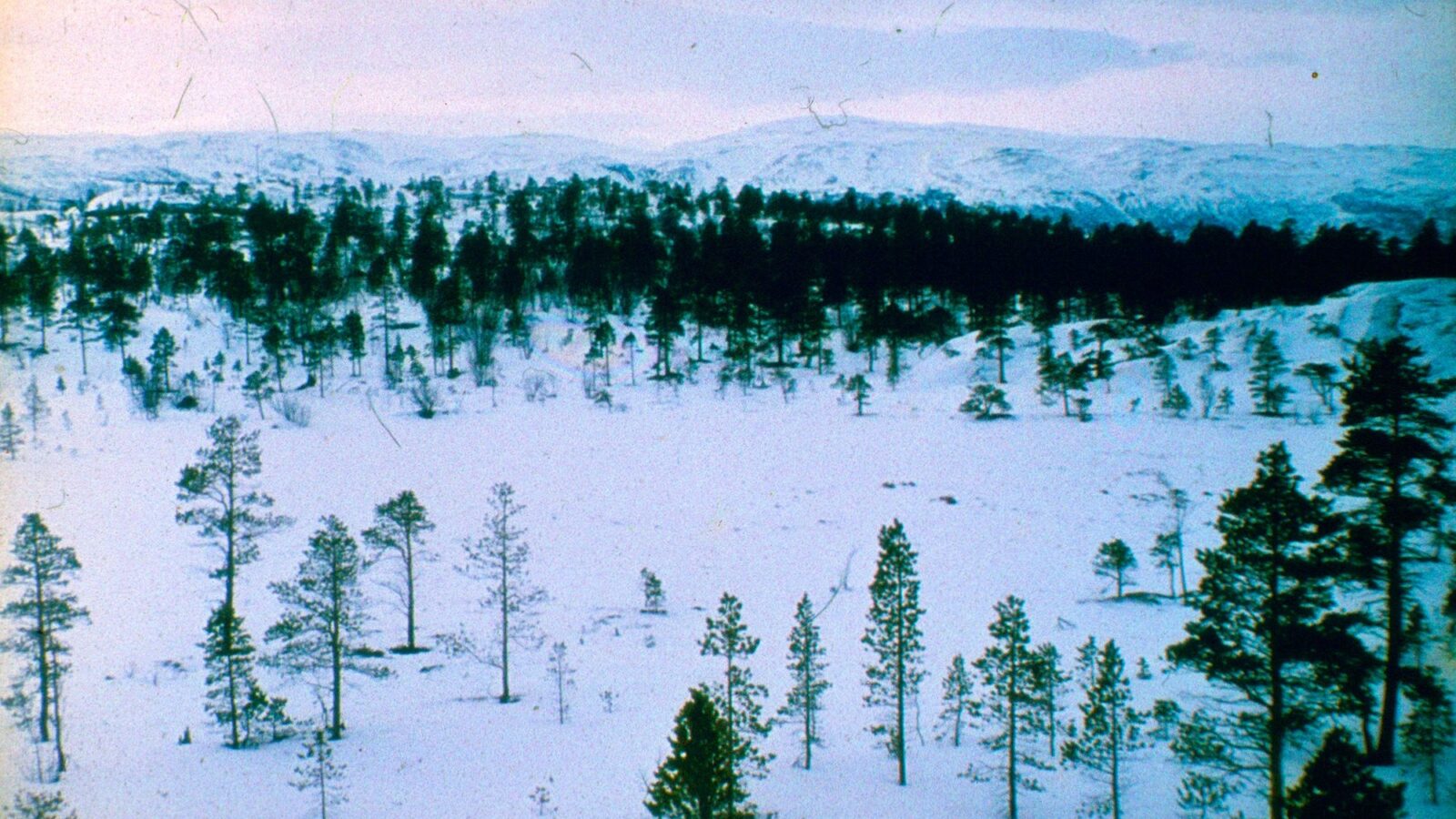 Aufnahme 111 von 215 aus dem Album „Skandinavien Winter 1977"